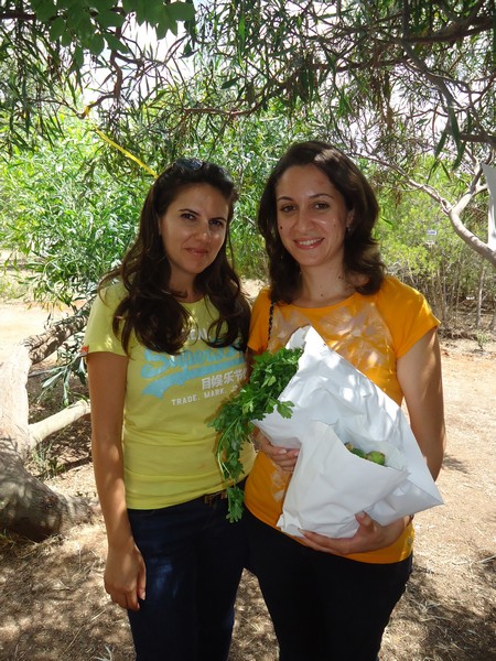 9th Annual Honey Harvest Event 